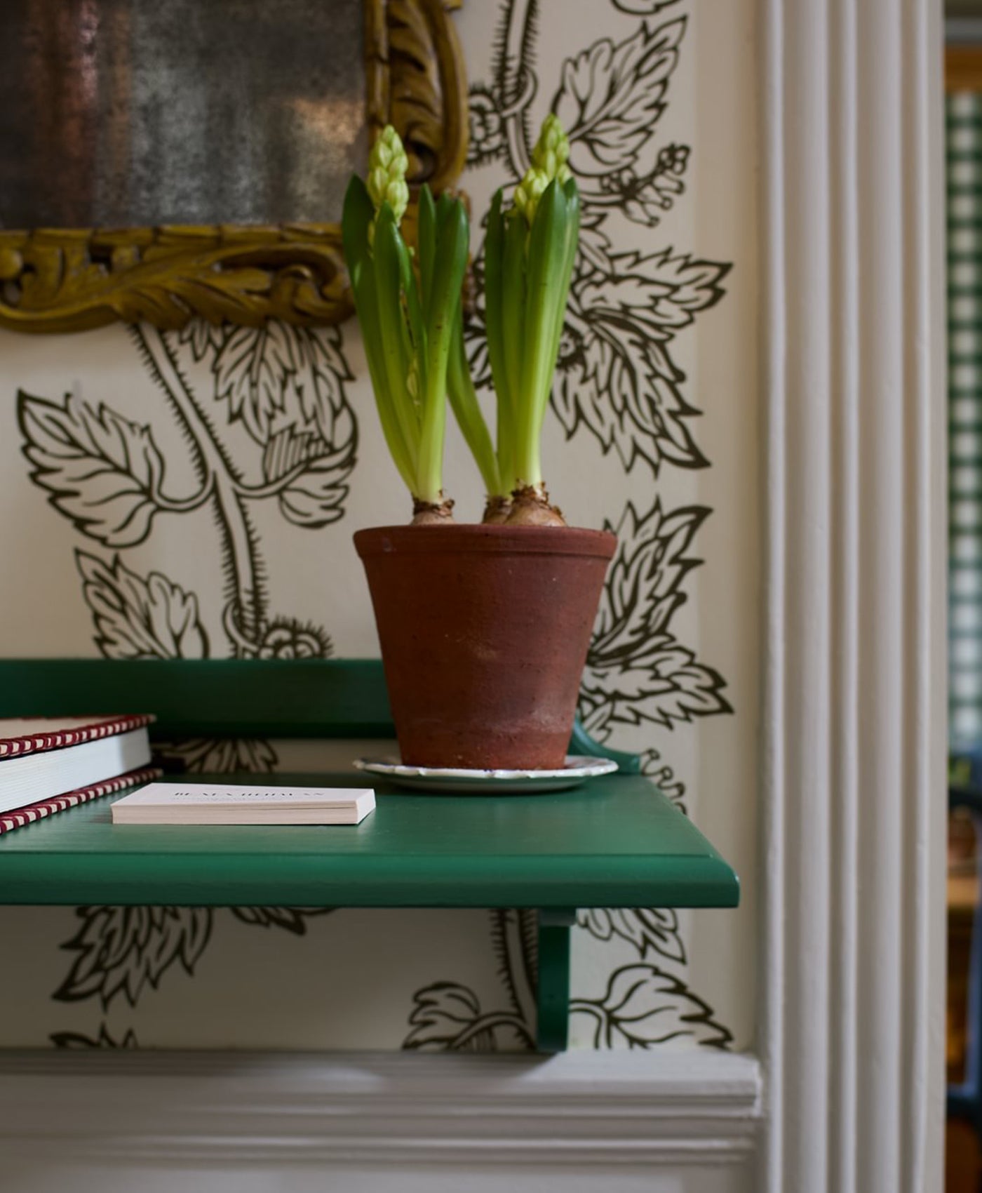 Potted plant on a green painted shelf with decorative wallpaper in the background