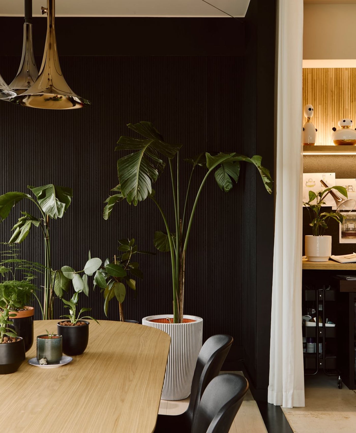 Modern interior with potted plants against a black panelled wall.