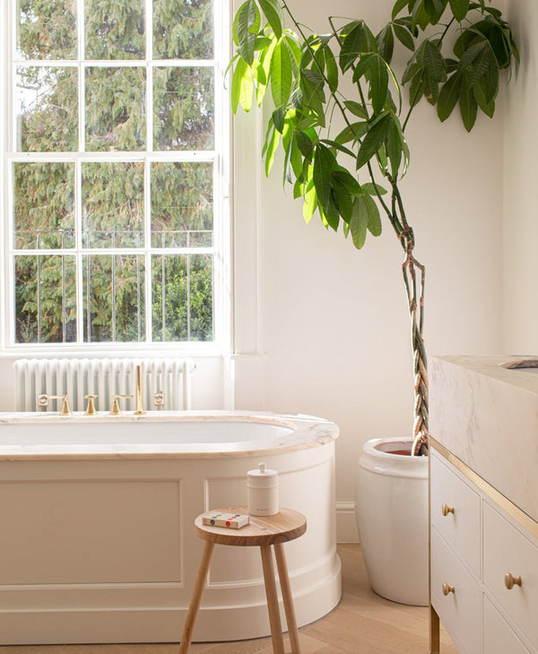 Soft off-white bathroom with bathtub, plant, and stool near a window