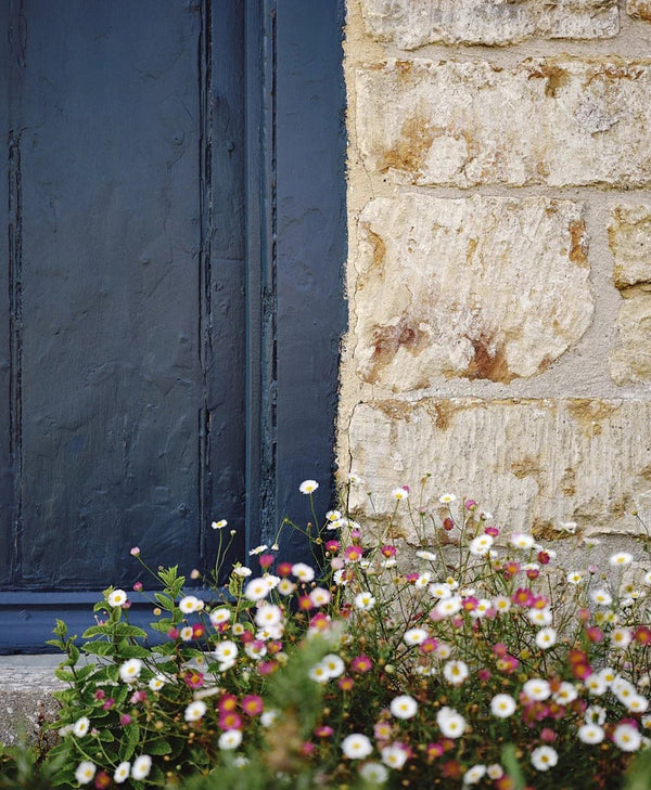 Floral garden in front of a stone wall and blue door