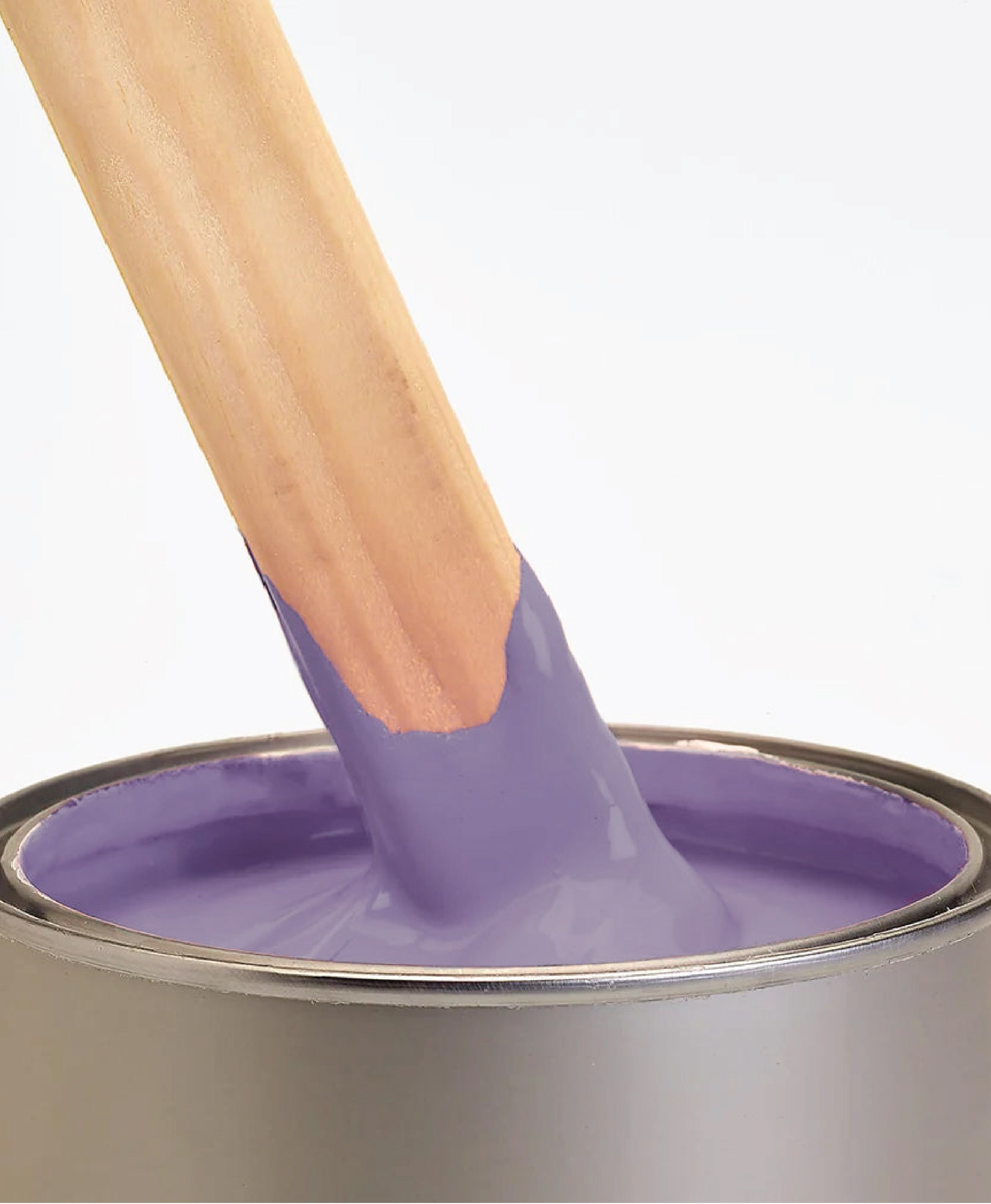 Primer & Undercoat - Purple