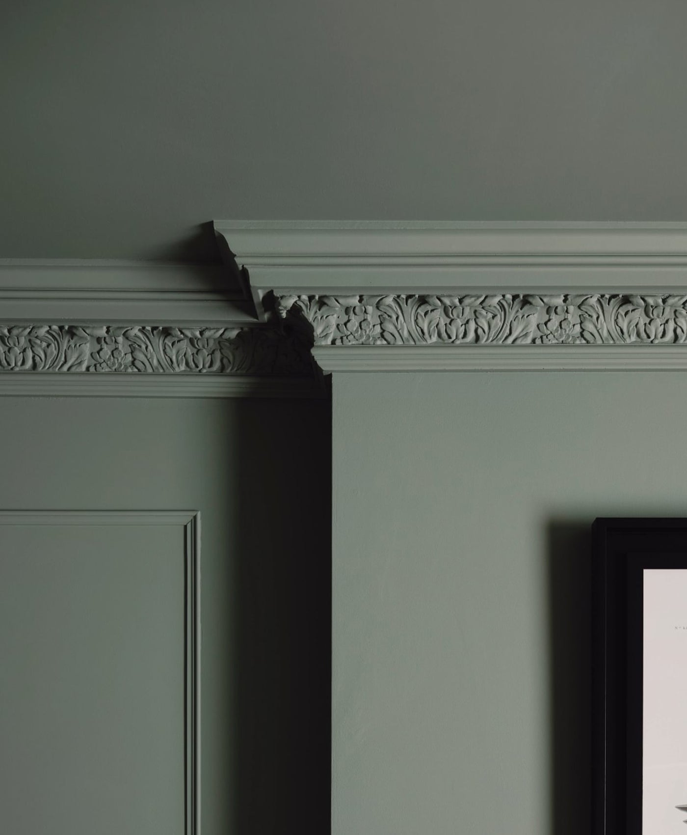 Decorative moulding on a sage green colour drenched room