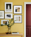Pimlico™ No.136 - Image 2