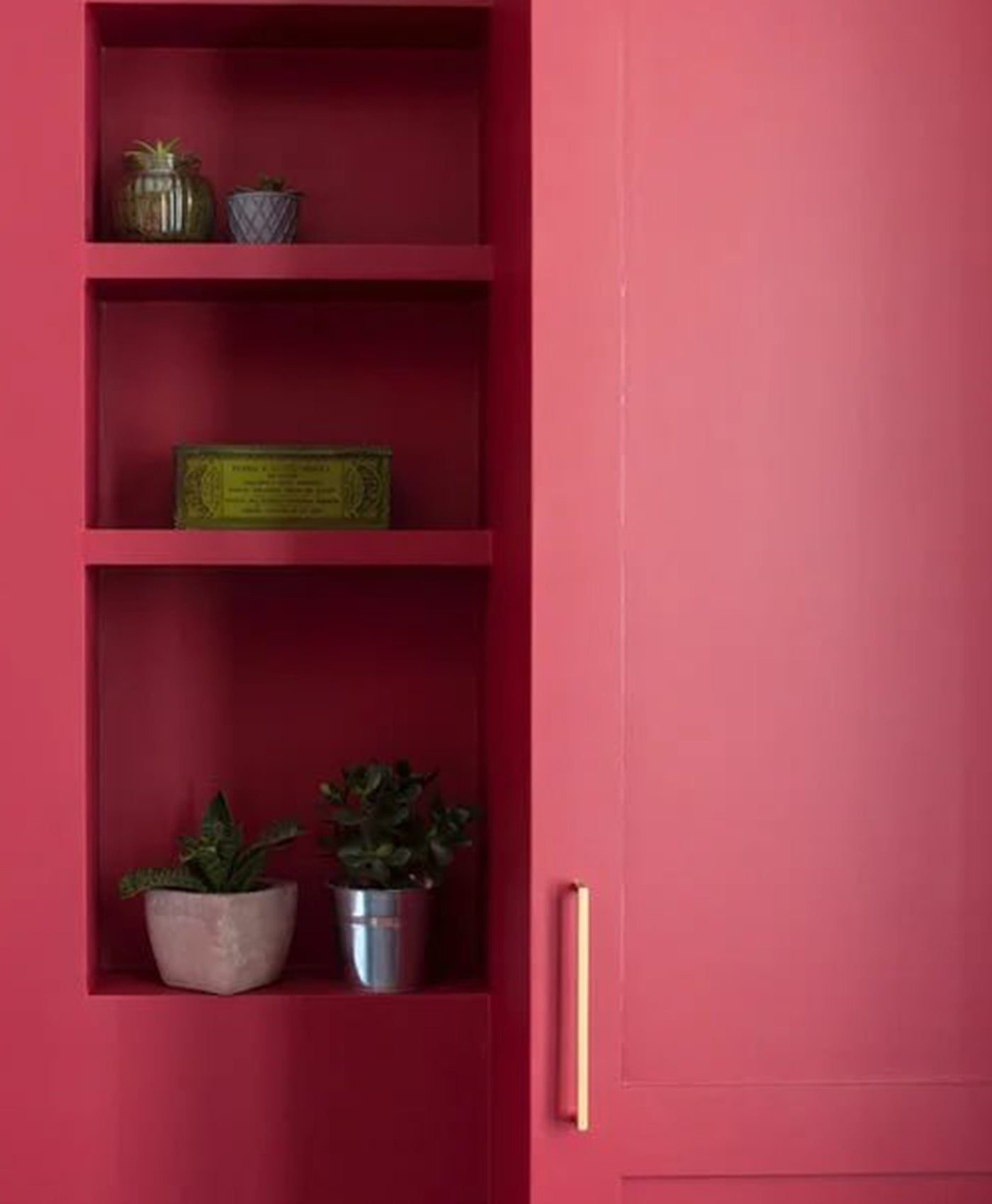 Red kitchen cabinet with shelves containing plants and decorative items
