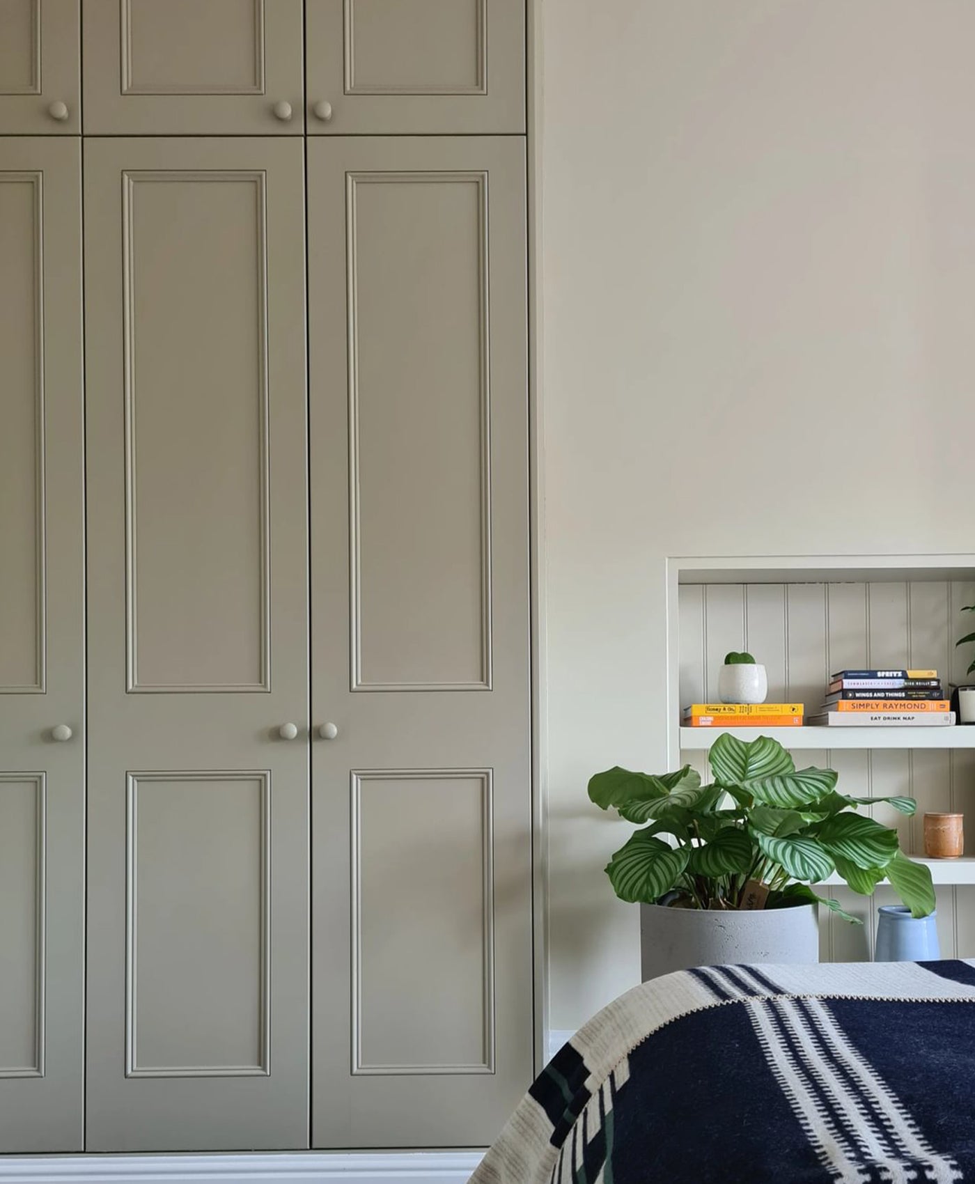 Green grey panelled wardrobe with a plant and books on a shelf in the background