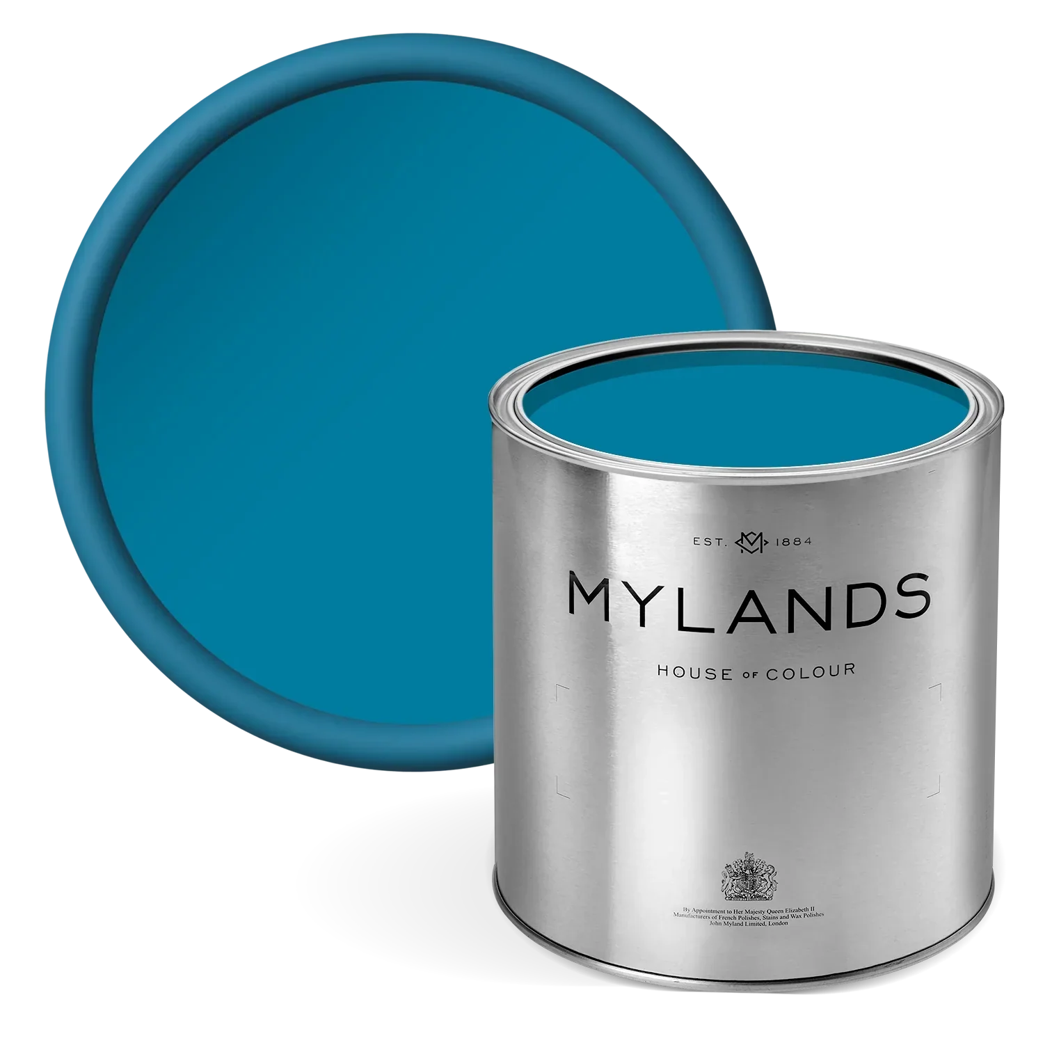 FTT-017™ - Midnight - Mylands bold blue paint in tin