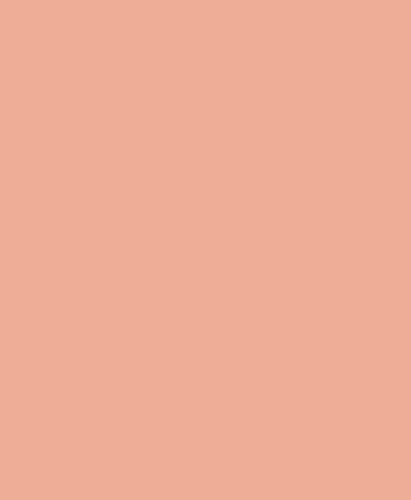 Primer & Undercoat - Orange