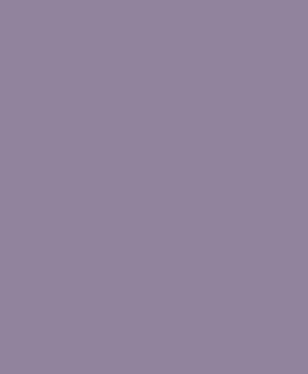 Primer & Undercoat - Purple