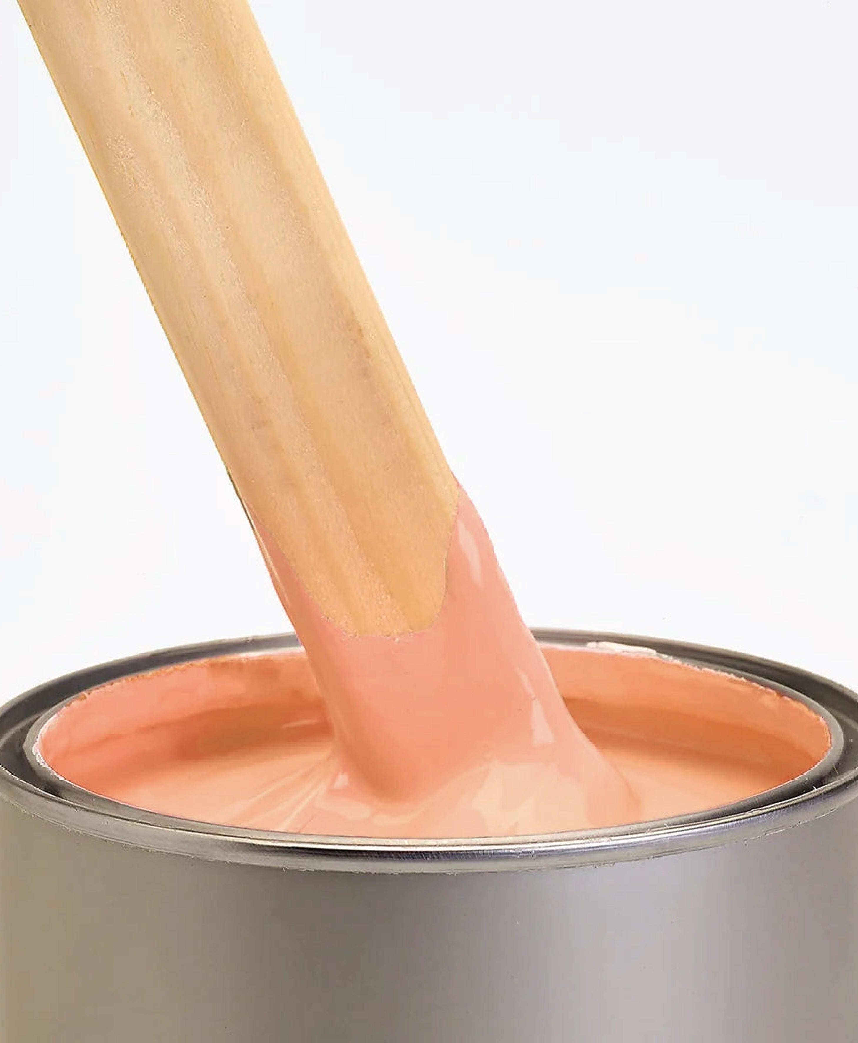 Primer & Undercoat - Orange